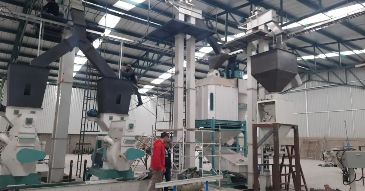 Large-Scale Wood Pellet Plant Installation Guide